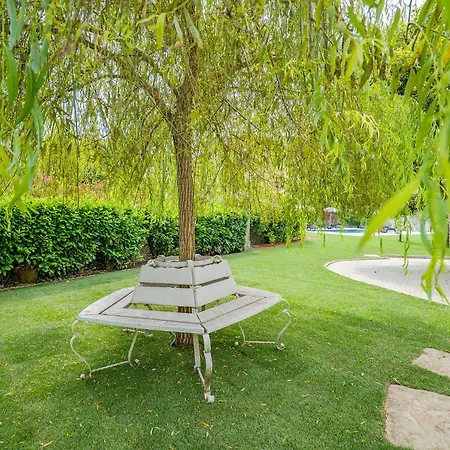 Rachel Quadro * Intra