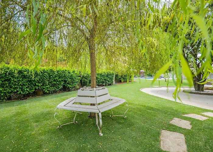 Rachel Quadro * 인트라